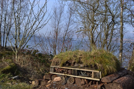 Bug hotel